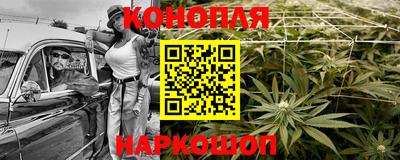 a pvp Новодвинск