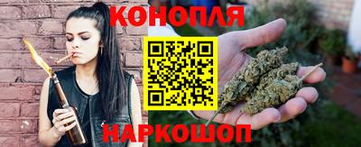 стаф Новокубанск