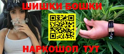 a pvp Новодвинск