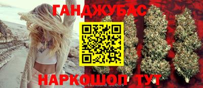 стаф Новокубанск