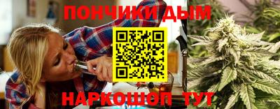 a pvp Новодвинск