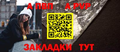стаф Новокубанск