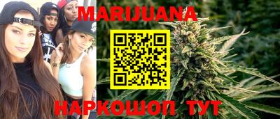 стаф Новокубанск