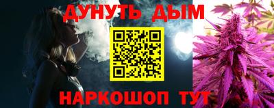 a pvp Новодвинск