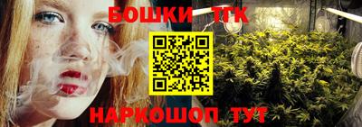 спиды Новозыбков