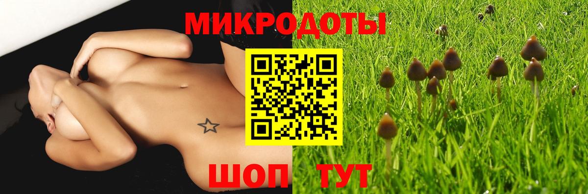 Псилоцибиновые грибы Psilocybine cubensis  Галлюциногенные грибы Magic Shrooms  Бузулук  Вход с VPN 